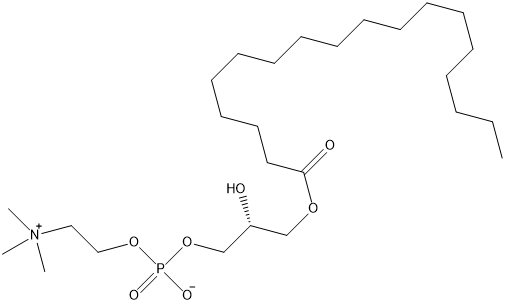 L-Î±-lysophosphatidylcholine, stearoyl chemical structure